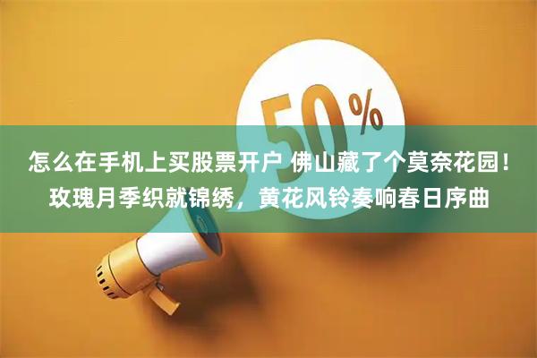 怎么在手机上买股票开户 佛山藏了个莫奈花园！玫瑰月季织就锦绣，黄花风铃奏响春日序曲
