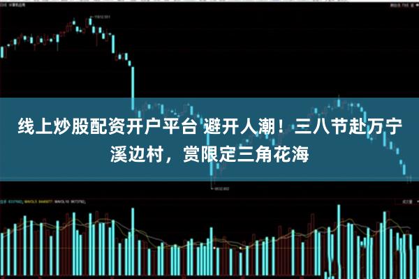 线上炒股配资开户平台 避开人潮！三八节赴万宁溪边村，赏限定三角花海